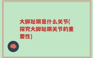 大脚趾跟是什么关节(探究大脚趾跟关节的重要性)