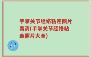 手掌关节经络粘连图片高清(手掌关节经络粘连照片大全)