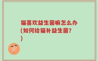 猫喜欢益生菌嘛怎么办(如何给猫补益生菌？)