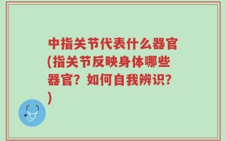 中指关节代表什么器官(指关节反映身体哪些器官？如何自我辨识？)