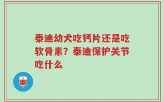 泰迪幼犬吃钙片还是吃软骨素？泰迪保护关节吃什么