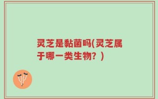 灵芝是黏菌吗(灵芝属于哪一类生物？)