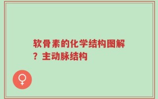 软骨素的化学结构图解？主动脉结构