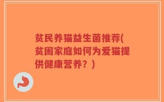 贫民养猫益生菌推荐(贫困家庭如何为爱猫提供健康营养？)