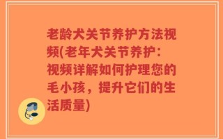 老龄犬关节养护方法视频(老年犬关节养护：视频详解如何护理您的毛小孩，提升它们的生活质量)