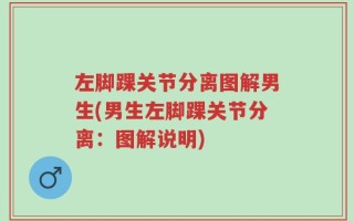左脚踝关节分离图解男生(男生左脚踝关节分离：图解说明)