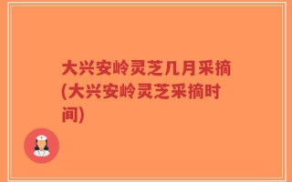大兴安岭灵芝几月采摘(大兴安岭灵芝采摘时间)