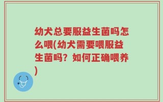 幼犬总要服益生菌吗怎么喂(幼犬需要喂服益生菌吗？如何正确喂养)
