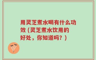 用灵芝煮水喝有什么功效 (灵芝煮水饮用的好处，你知道吗？)