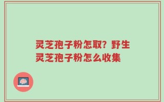 灵芝孢子粉怎取？野生灵芝孢子粉怎么收集