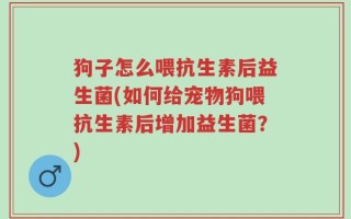 狗子怎么喂抗生素后益生菌(如何给宠物狗喂抗生素后增加益生菌？)