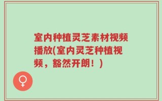 室内种植灵芝素材视频播放(室内灵芝种植视频，豁然开朗！)