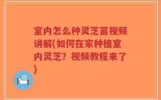 室内怎么种灵芝苗视频讲解(如何在家种植室内灵芝？视频教程来了)