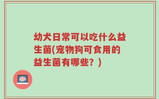 幼犬日常可以吃什么益生菌(宠物狗可食用的益生菌有哪些？)