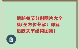 后腿关节分割图片大全集(全方位分解！详解后肢关节结构图集)