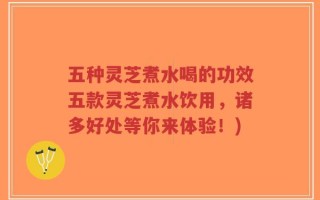 五种灵芝煮水喝的功效五款灵芝煮水饮用，诸多好处等你来体验！)