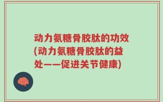 动力氨糖骨胶肽的功效(动力氨糖骨胶肽的益处——促进关节健康)