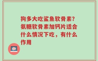 狗多大吃鲨鱼软骨素？氨糖软骨素加钙片适合什么情况下吃，有什么作用