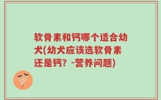 软骨素和钙哪个适合幼犬(幼犬应该选软骨素还是钙？-营养问题)