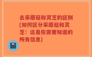 去采蘑菇和灵芝的区别(如何区分采蘑菇和灵芝：这是你需要知道的所有信息)