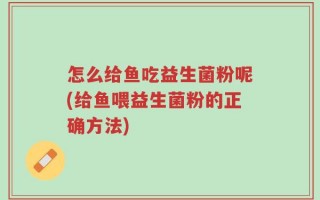 怎么给鱼吃益生菌粉呢(给鱼喂益生菌粉的正确方法)