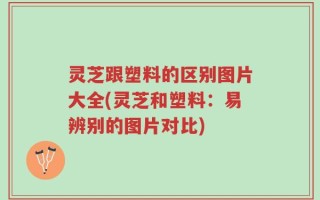 灵芝跟塑料的区别图片大全(灵芝和塑料：易辨别的图片对比)