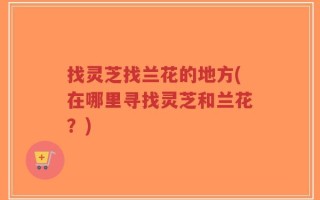 找灵芝找兰花的地方(在哪里寻找灵芝和兰花？)