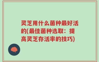 灵芝用什么菌种最好活的(最佳菌种选取：提高灵芝存活率的技巧)