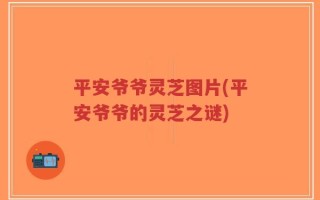 平安爷爷灵芝图片(平安爷爷的灵芝之谜)