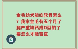 金毛幼犬能吃软骨素么？我家金毛有五个月了腿严重缺钙成O型的了要怎么才能变直