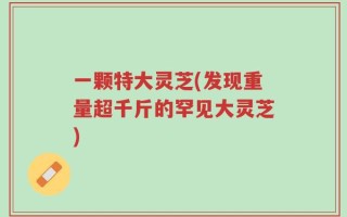 一颗特大灵芝(发现重量超千斤的罕见大灵芝)