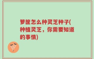 箩筐怎么种灵芝种子(种植灵芝，你需要知道的事情)