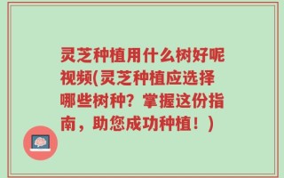 灵芝种植用什么树好呢视频(灵芝种植应选择哪些树种？掌握这份指南，助您成功种植！)
