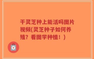 干灵芝种上能活吗图片视频(灵芝种子如何养殖？看图学种植！)