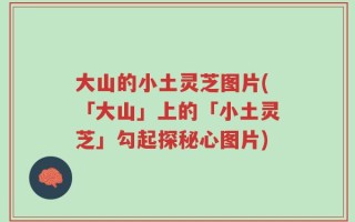 大山的小土灵芝图片(「大山」上的「小土灵芝」勾起探秘心图片)