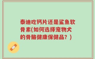 泰迪吃钙片还是鲨鱼软骨素(如何选择宠物犬的骨骼健康保健品？)