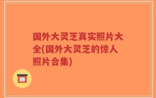 国外大灵芝真实照片大全(国外大灵芝的惊人照片合集)