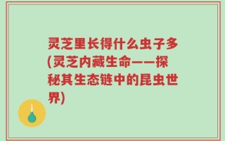灵芝里长得什么虫子多(灵芝内藏生命——探秘其生态链中的昆虫世界)