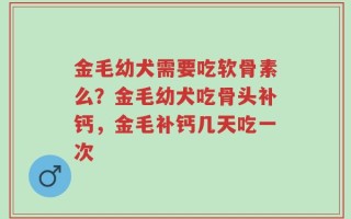 金毛幼犬需要吃软骨素么？金毛幼犬吃骨头补钙，金毛补钙几天吃一次
