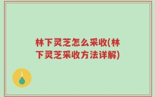 林下灵芝怎么采收(林下灵芝采收方法详解)