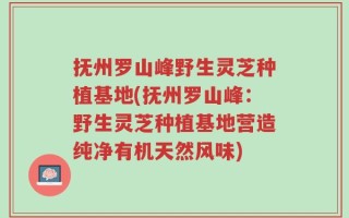 抚州罗山峰野生灵芝种植基地(抚州罗山峰：野生灵芝种植基地营造纯净有机天然风味)