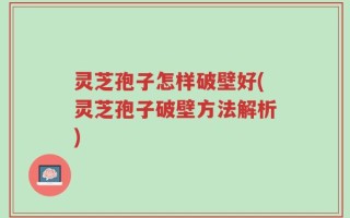 灵芝孢子怎样破壁好(灵芝孢子破壁方法解析)