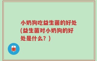 小奶狗吃益生菌的好处(益生菌对小奶狗的好处是什么？)