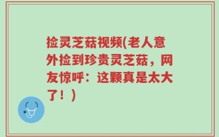 捡灵芝菇视频(老人意外捡到珍贵灵芝菇，网友惊呼：这颗真是太大了！)