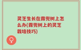 灵芝生长在露兜树上怎么办(露兜树上的灵芝栽培技巧)