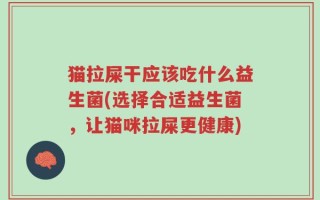 猫拉屎干应该吃什么益生菌(选择合适益生菌，让猫咪拉屎更健康)