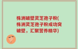 株洲破壁灵芝孢子粉(株洲灵芝孢子粉成功突破壁，汇聚营养精华)