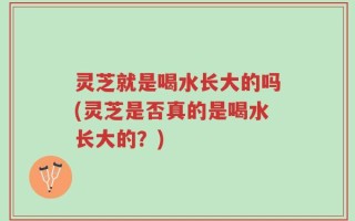 灵芝就是喝水长大的吗(灵芝是否真的是喝水长大的？)
