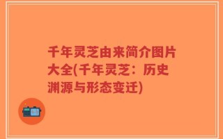 千年灵芝由来简介图片大全(千年灵芝：历史渊源与形态变迁)