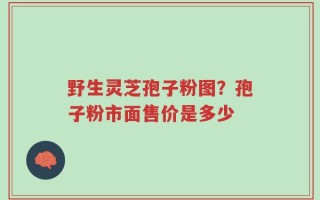 野生灵芝孢子粉图？孢子粉市面售价是多少